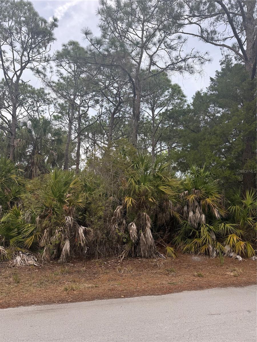 Details for 7725 Mesa Lane, HOMOSASSA, FL 34448