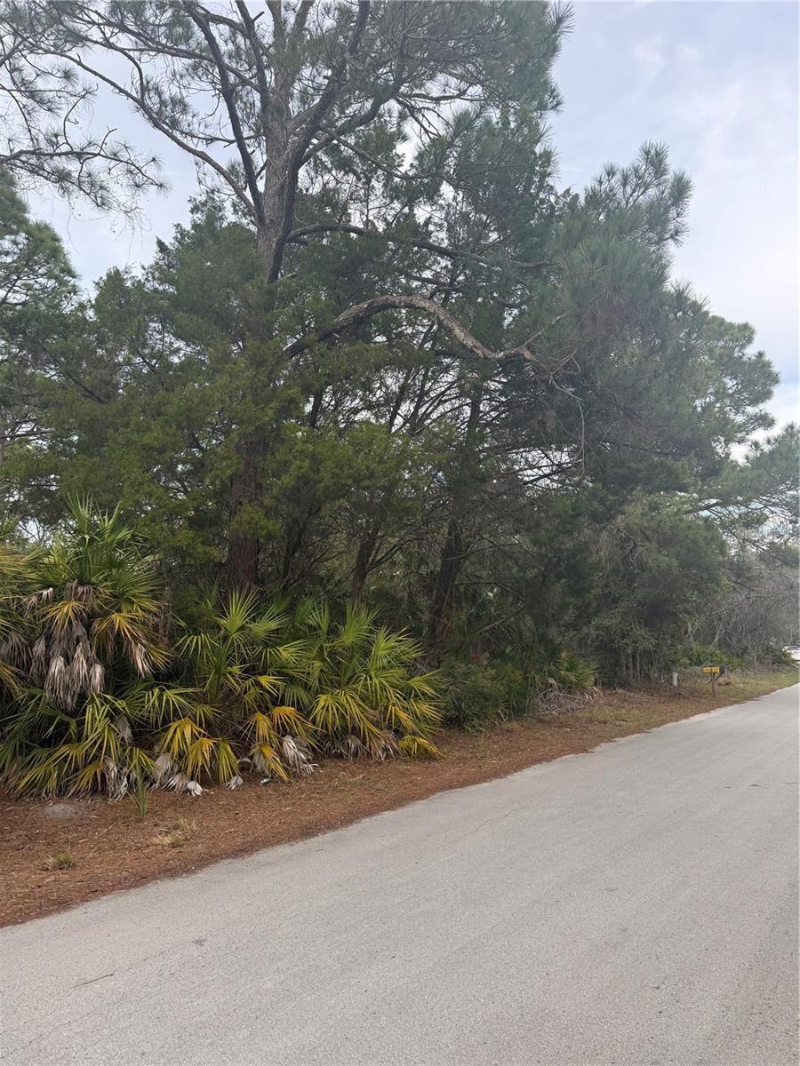 Image 2 of 6 For 7725 Mesa Lane