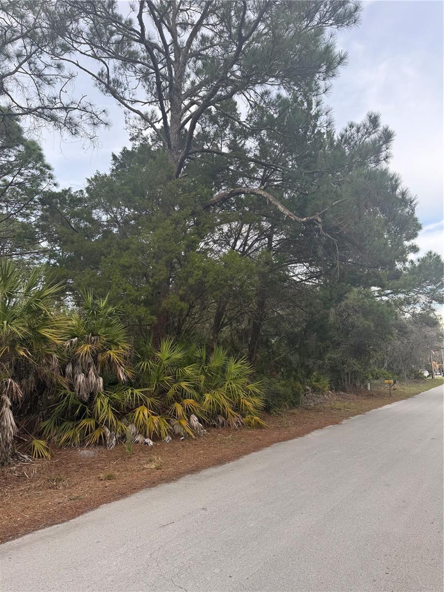 Image 3 of 6 For 7725 Mesa Lane