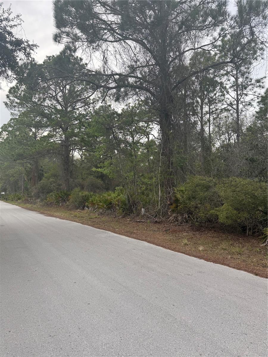 Image 4 of 6 For 7725 Mesa Lane