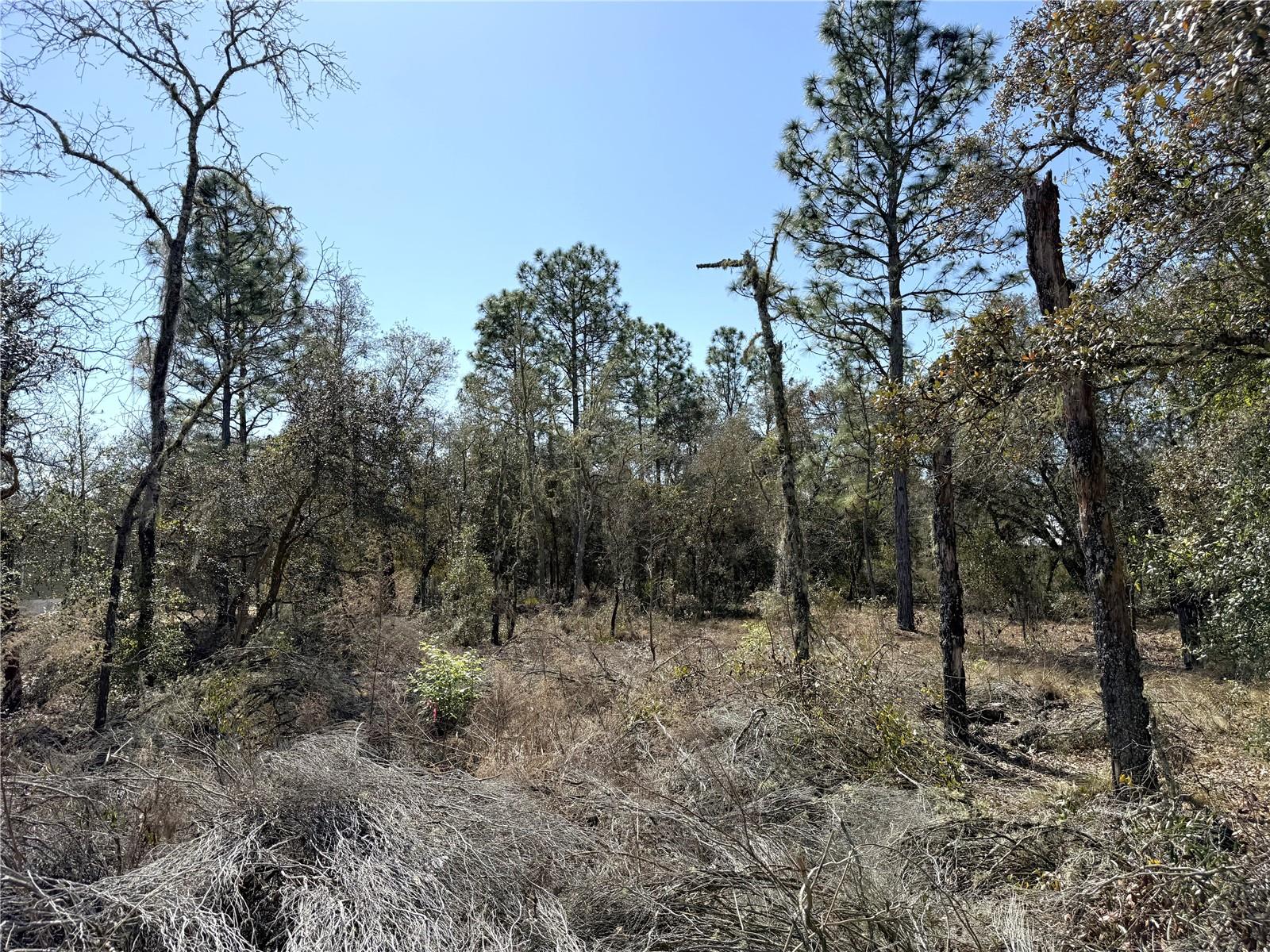 Image 5 of 6 For 00 67th Place