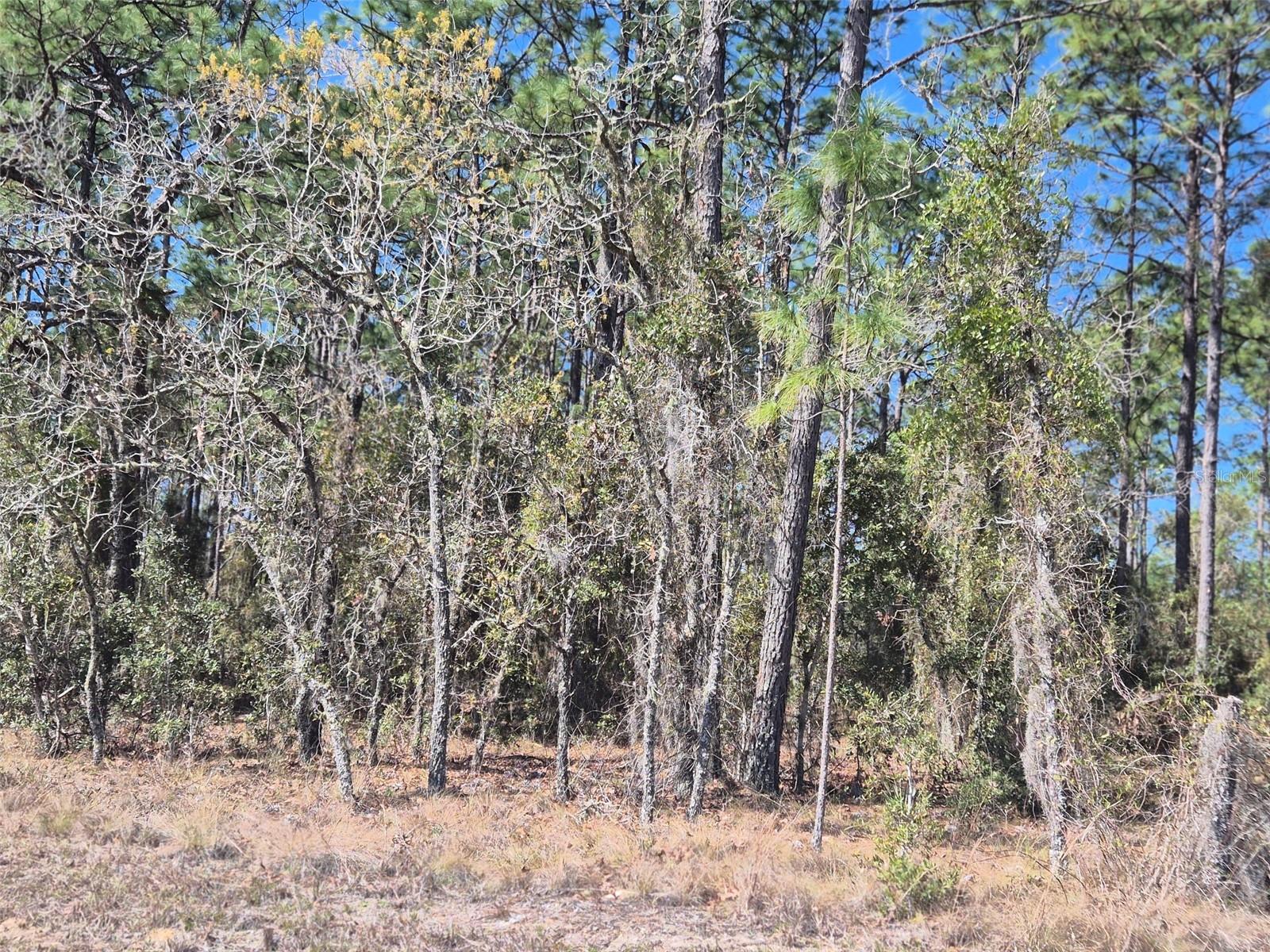 Image 2 of 11 For 00 137th Avenue