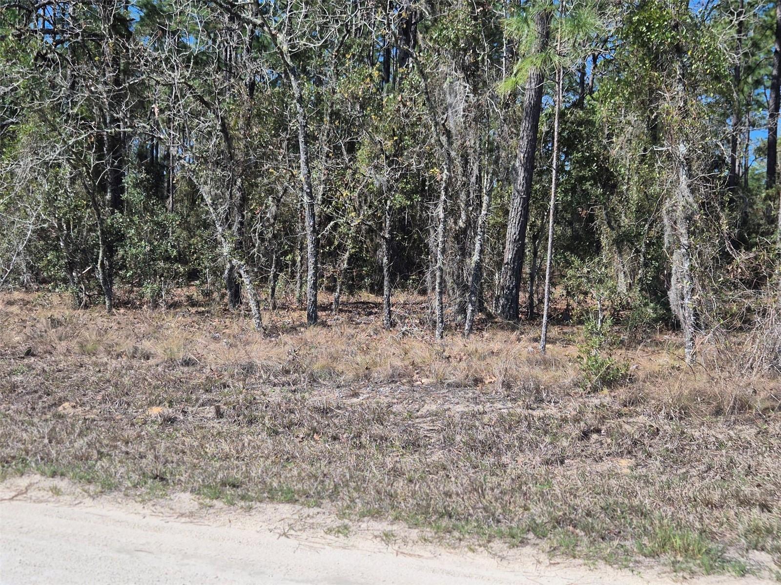 Image 3 of 11 For 00 137th Avenue