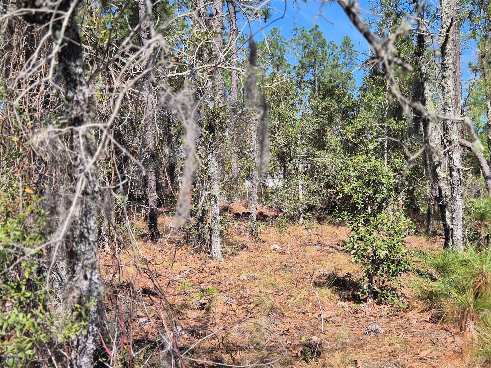 Image 6 of 11 For 00 137th Avenue