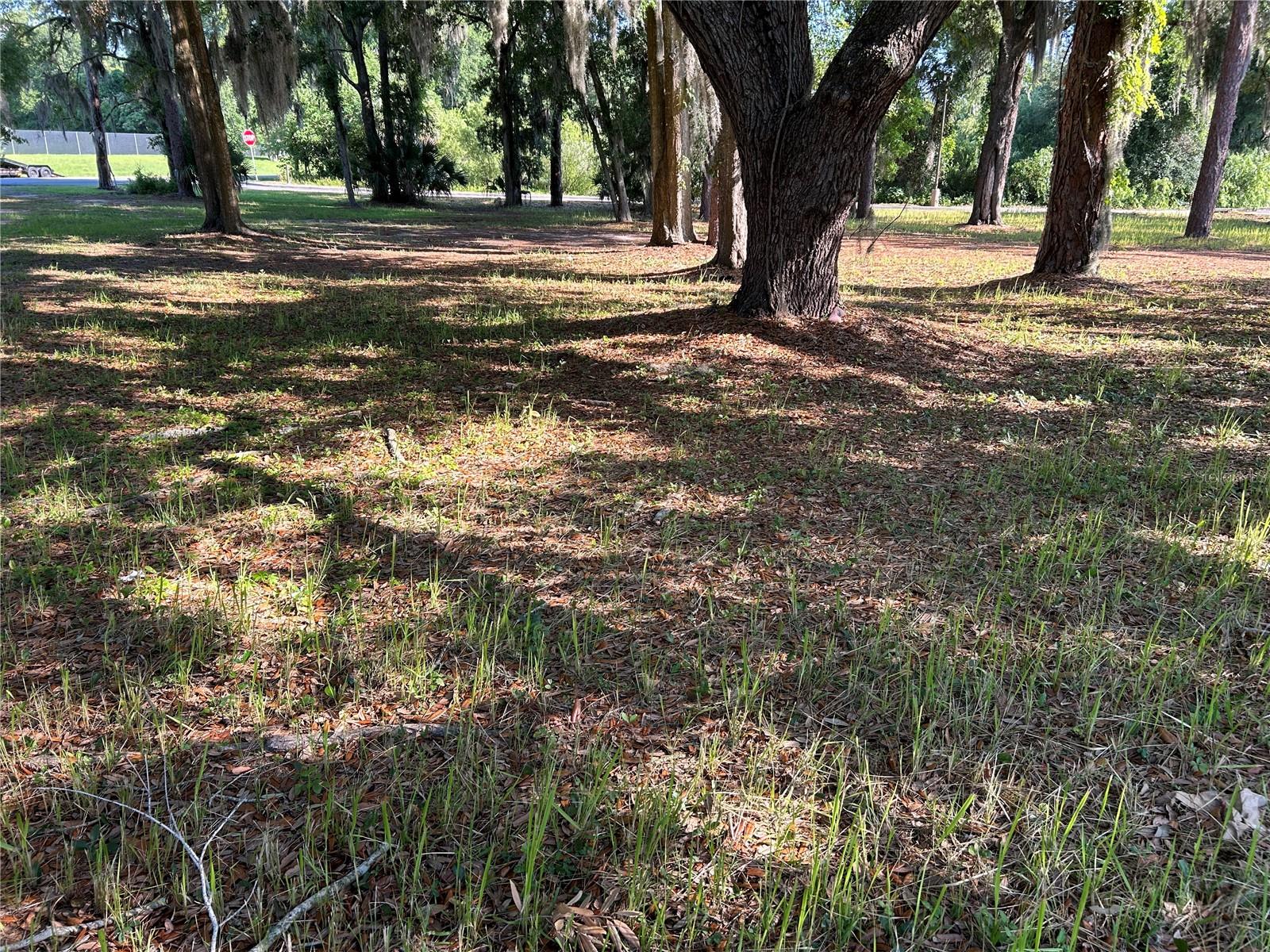 Image 4 of 6 For Address Not Provided