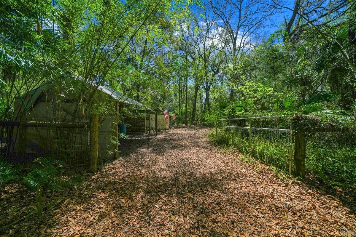 Image 22 of 44 For 5028 Highway 316