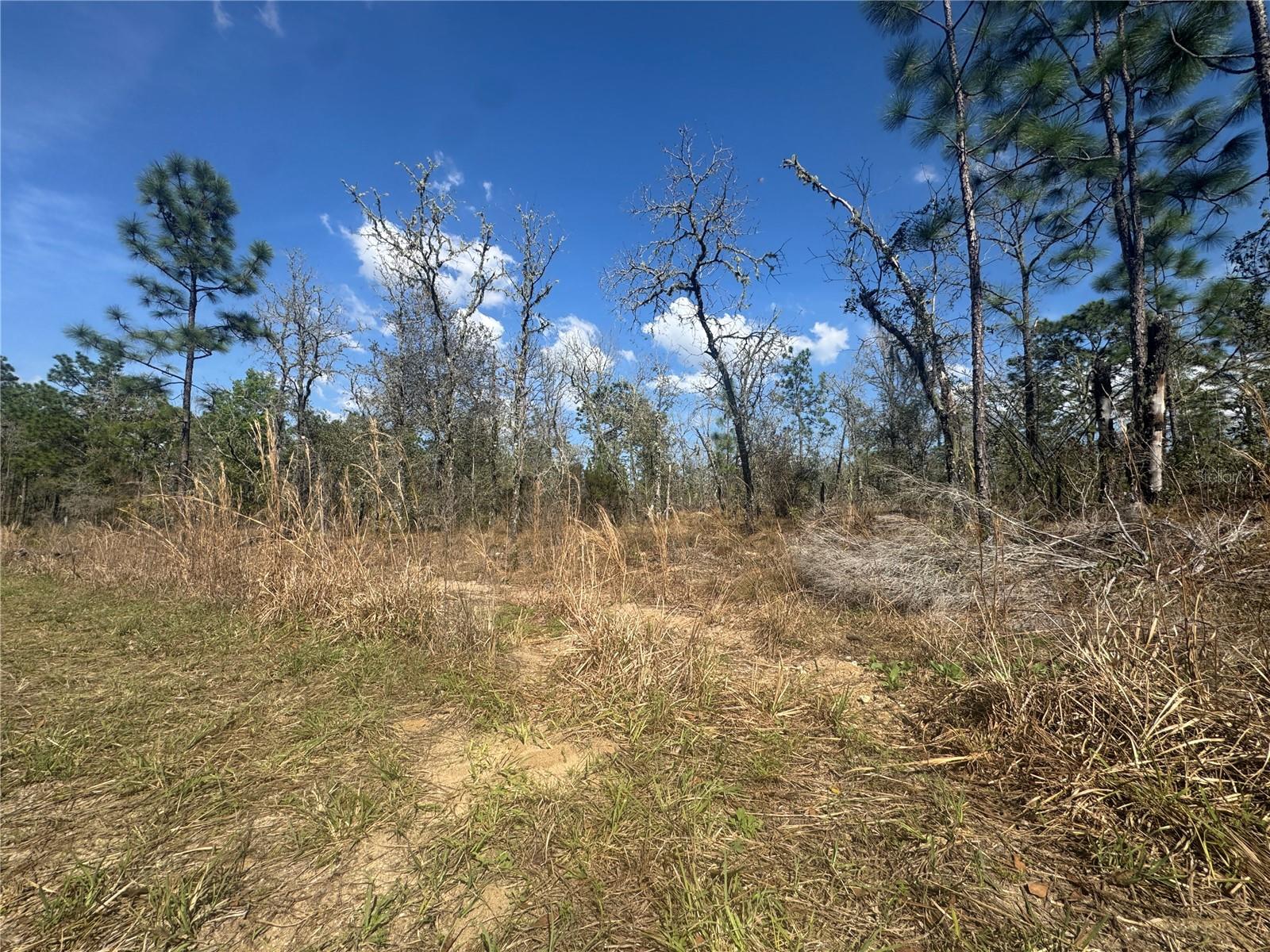 Image 3 of 4 For Tbd 155th Avenue