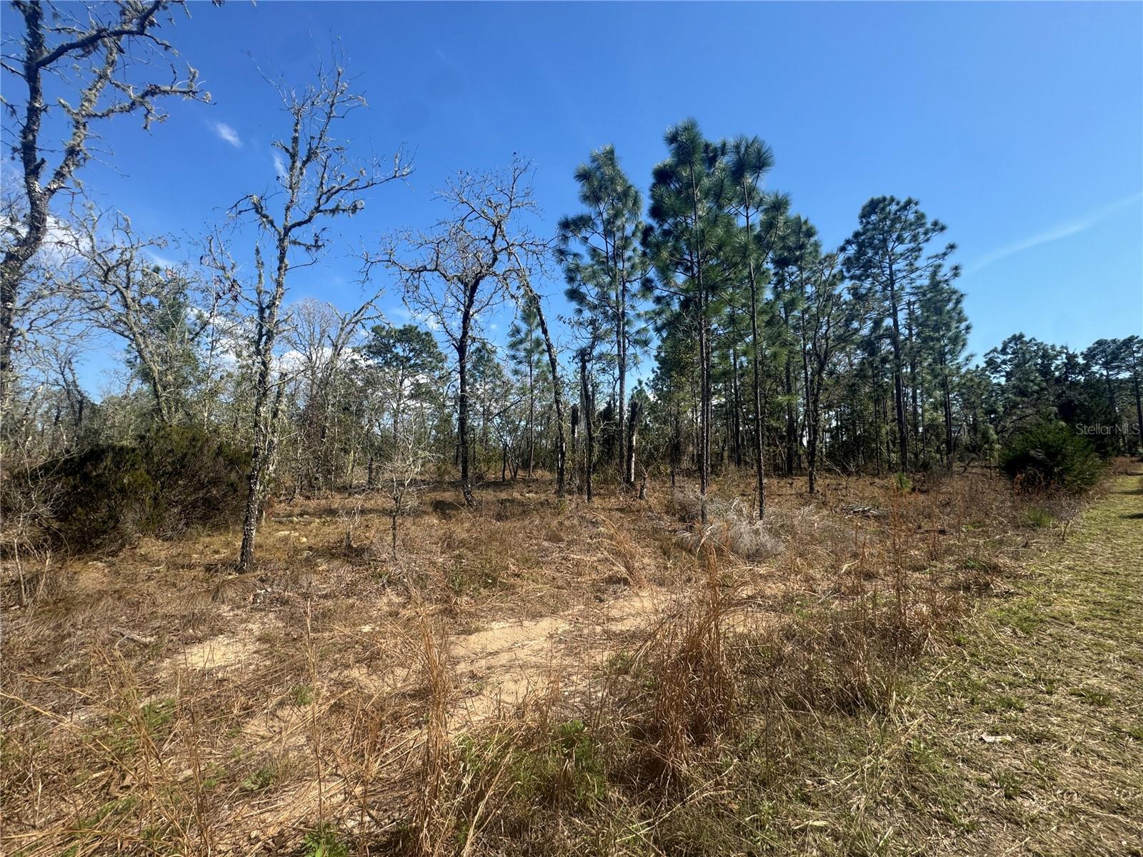 Image 4 of 4 For Tbd 155th Avenue