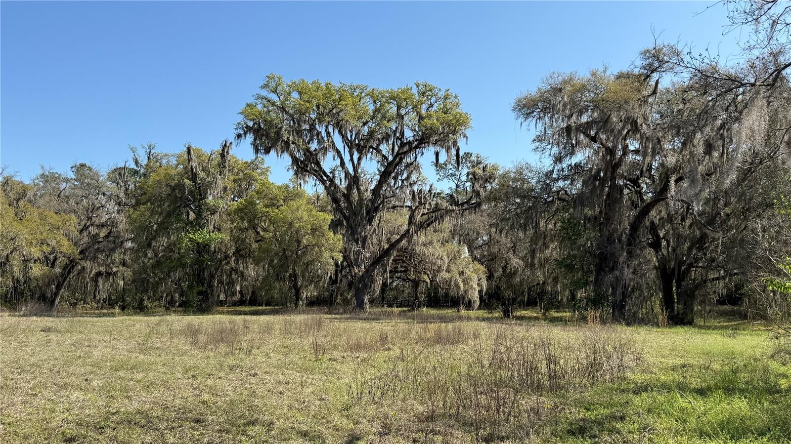 Image 4 of 13 For 7905 118th Court