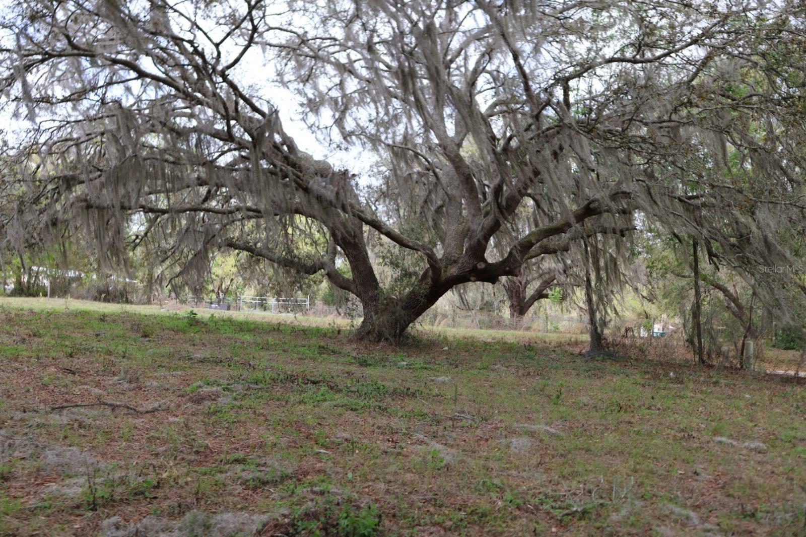 Image 19 of 23 For 11234 121st Lane Road