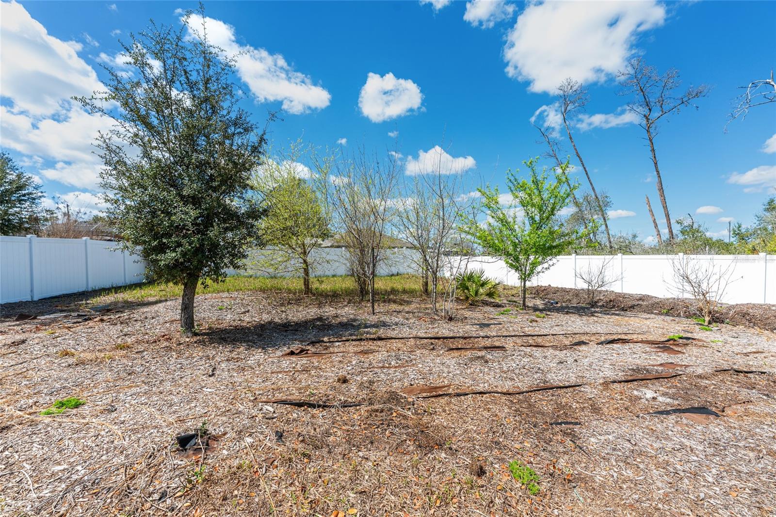 Image 67 of 96 For 10400 45th Court