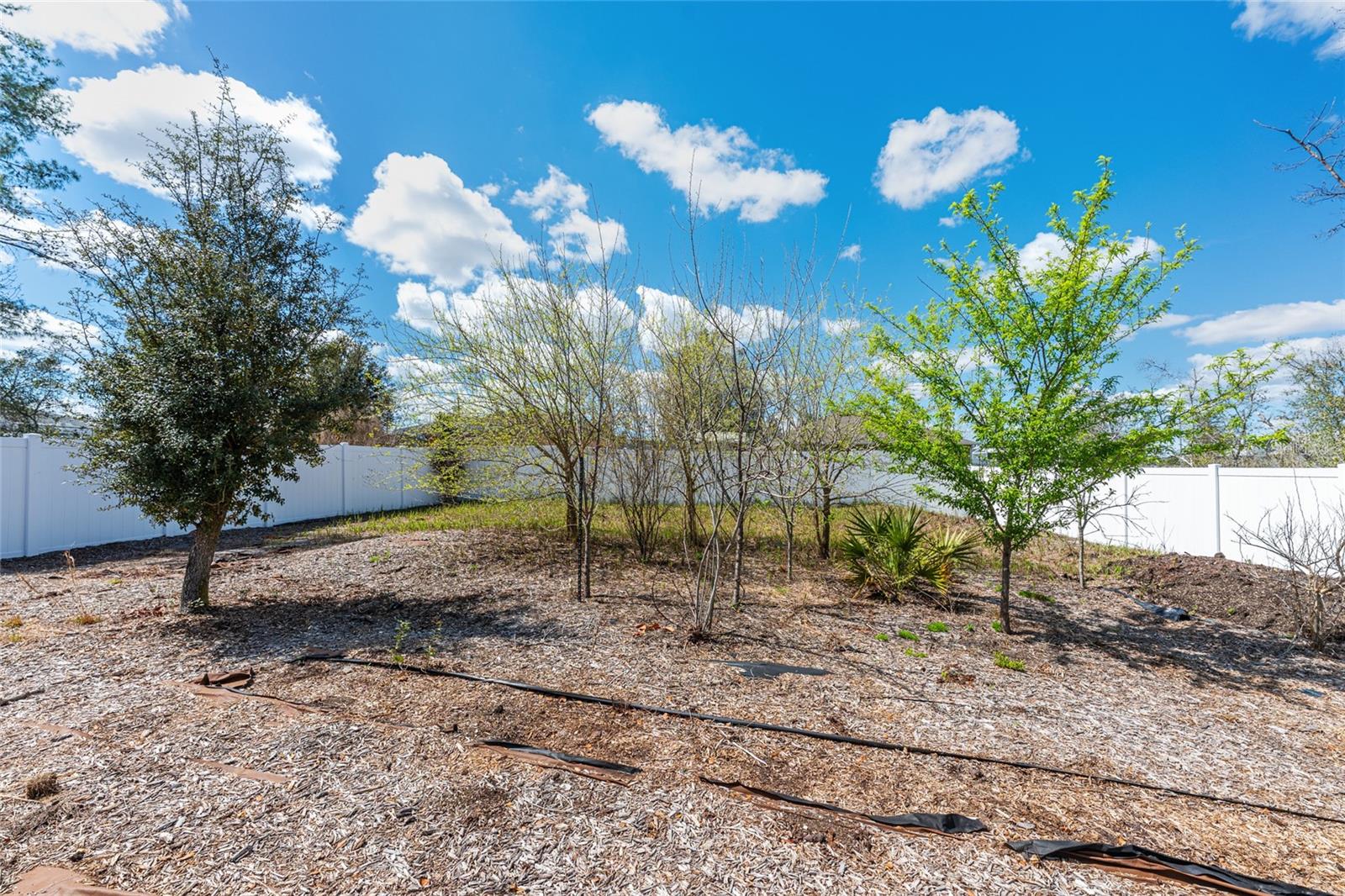 Image 69 of 96 For 10400 45th Court