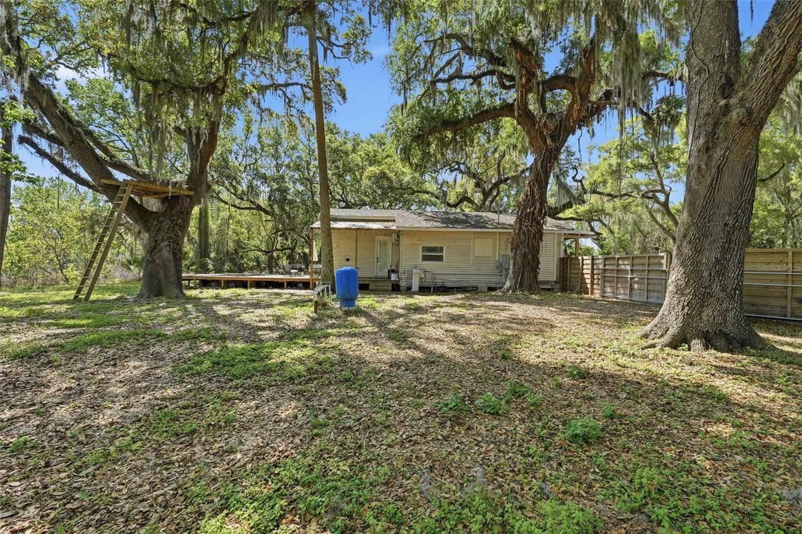 Image 10 of 38 For 36104 Emeralda Avenue