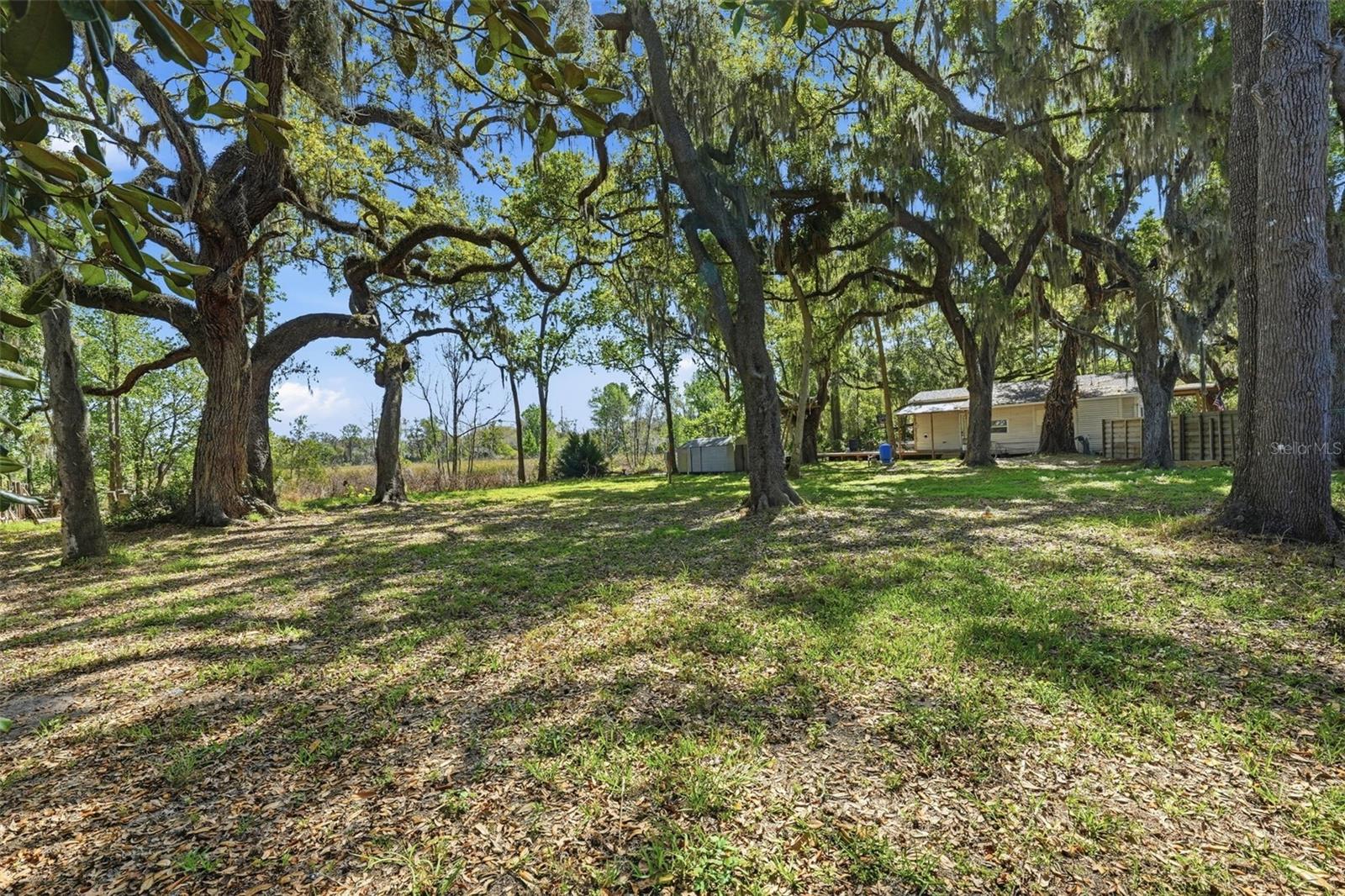 Image 8 of 38 For 36104 Emeralda Avenue