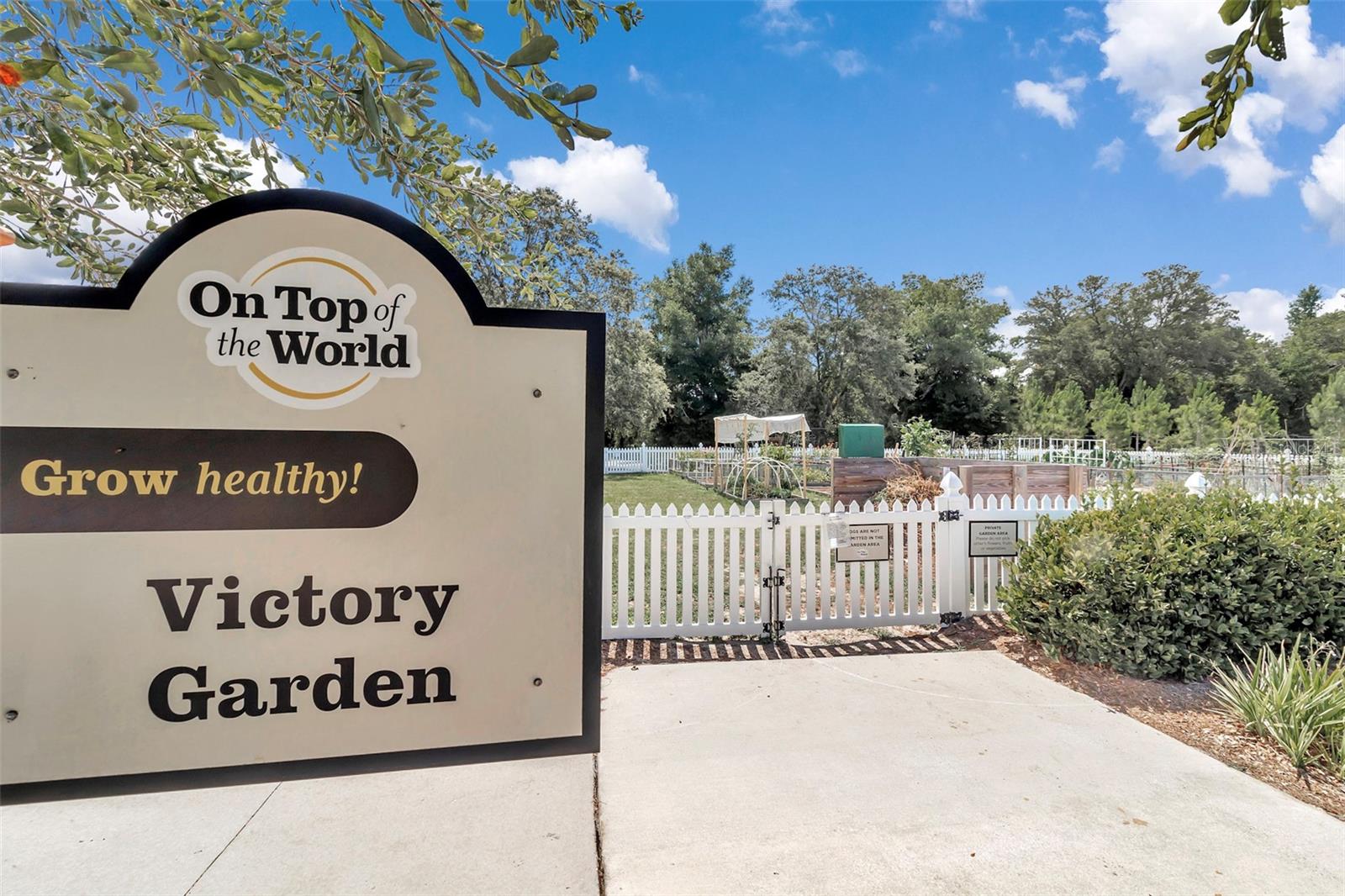 Image 42 of 48 For 8877 96th Street B