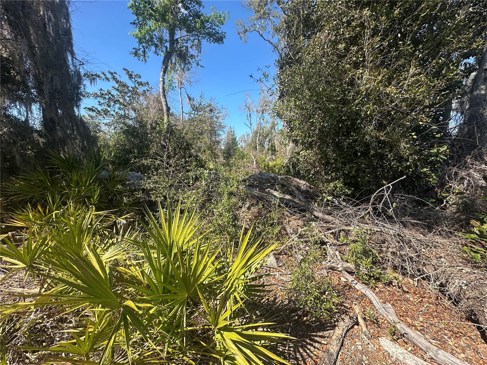 Image 16 of 21 For 688th Avenue