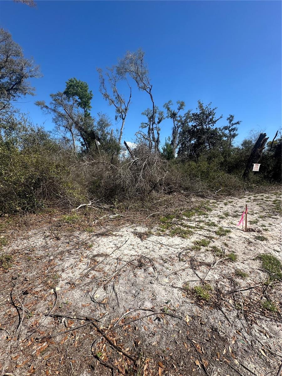 Image 18 of 21 For 688th Avenue