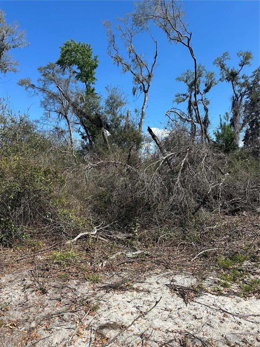 Image 19 of 21 For 688th Avenue