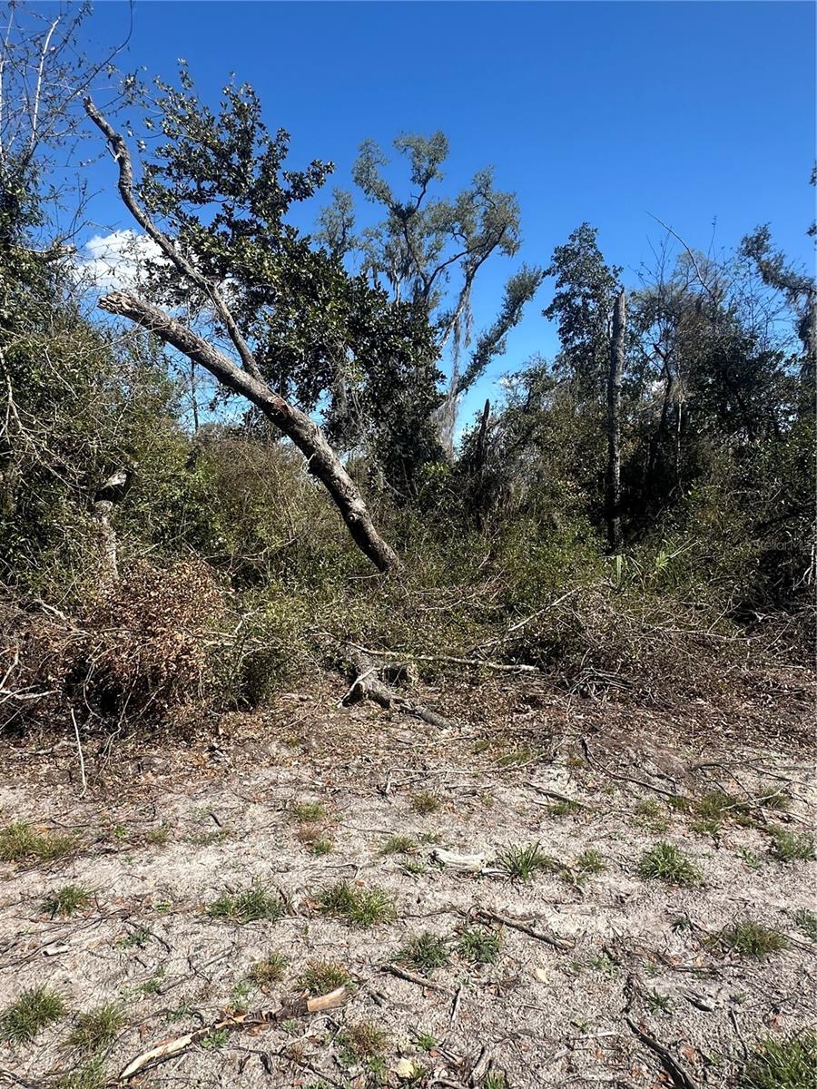 Image 6 of 21 For 688th Avenue