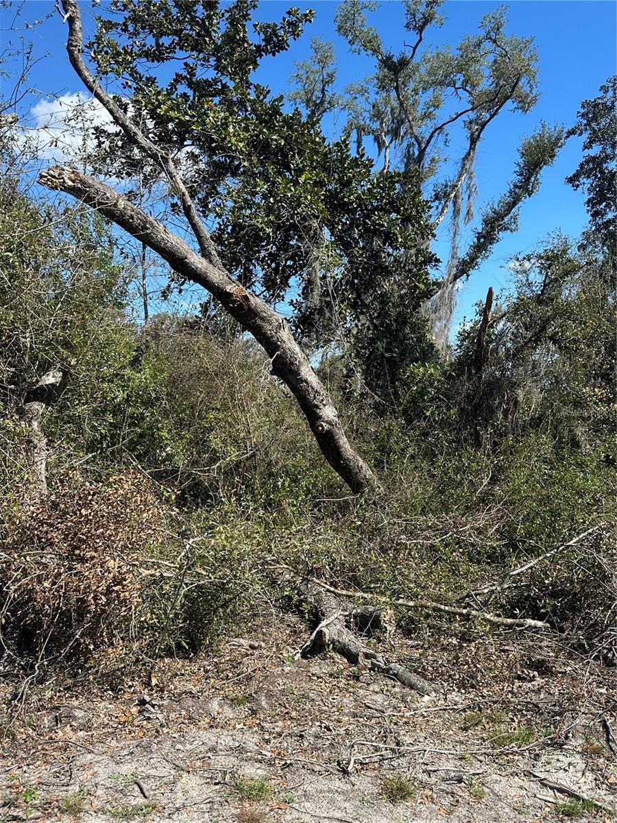 Image 7 of 21 For 688th Avenue