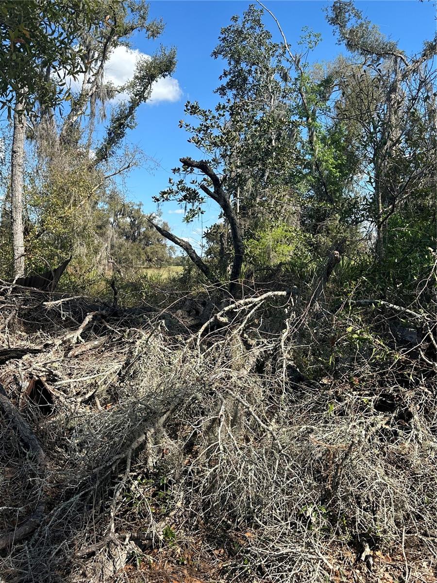 Image 8 of 21 For 688th Avenue