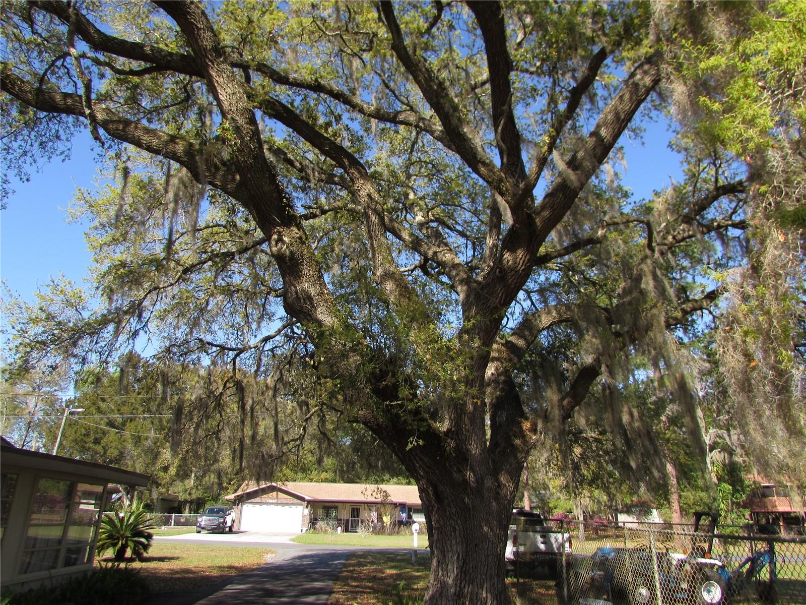 Image 27 of 41 For 11931 Bearl Terrace