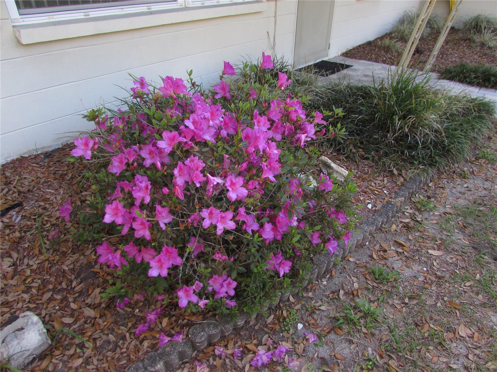 Image 32 of 41 For 11931 Bearl Terrace