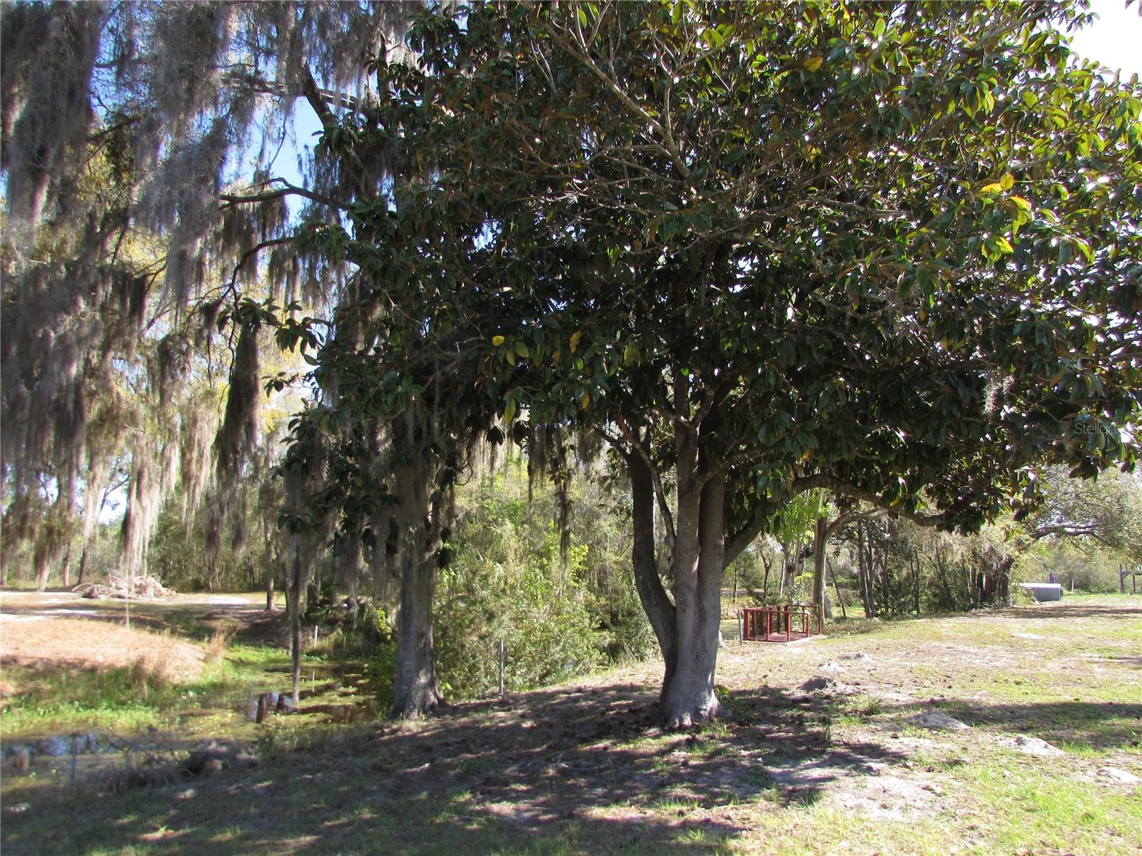 Image 36 of 41 For 11931 Bearl Terrace