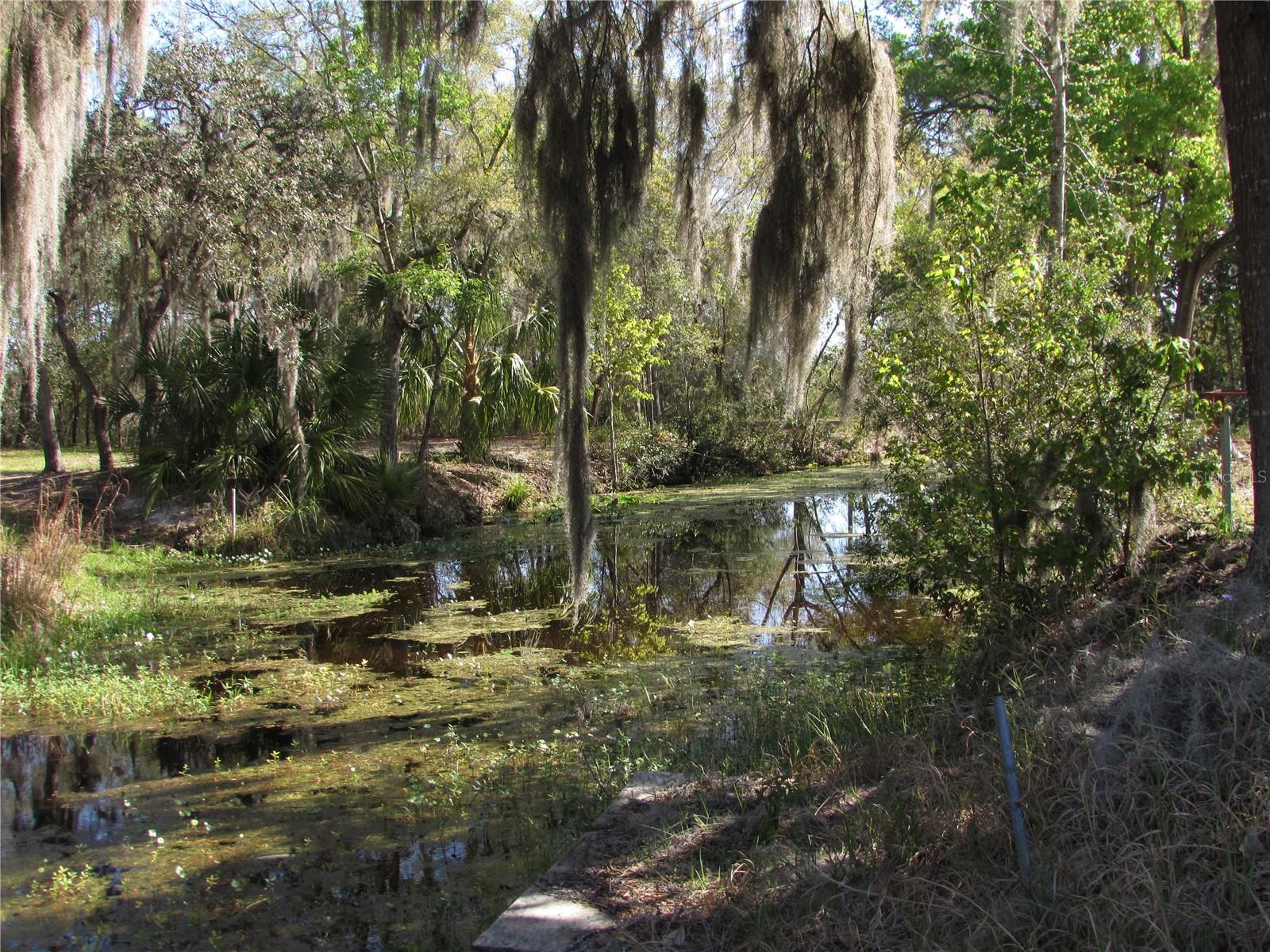 Image 4 of 41 For 11931 Bearl Terrace