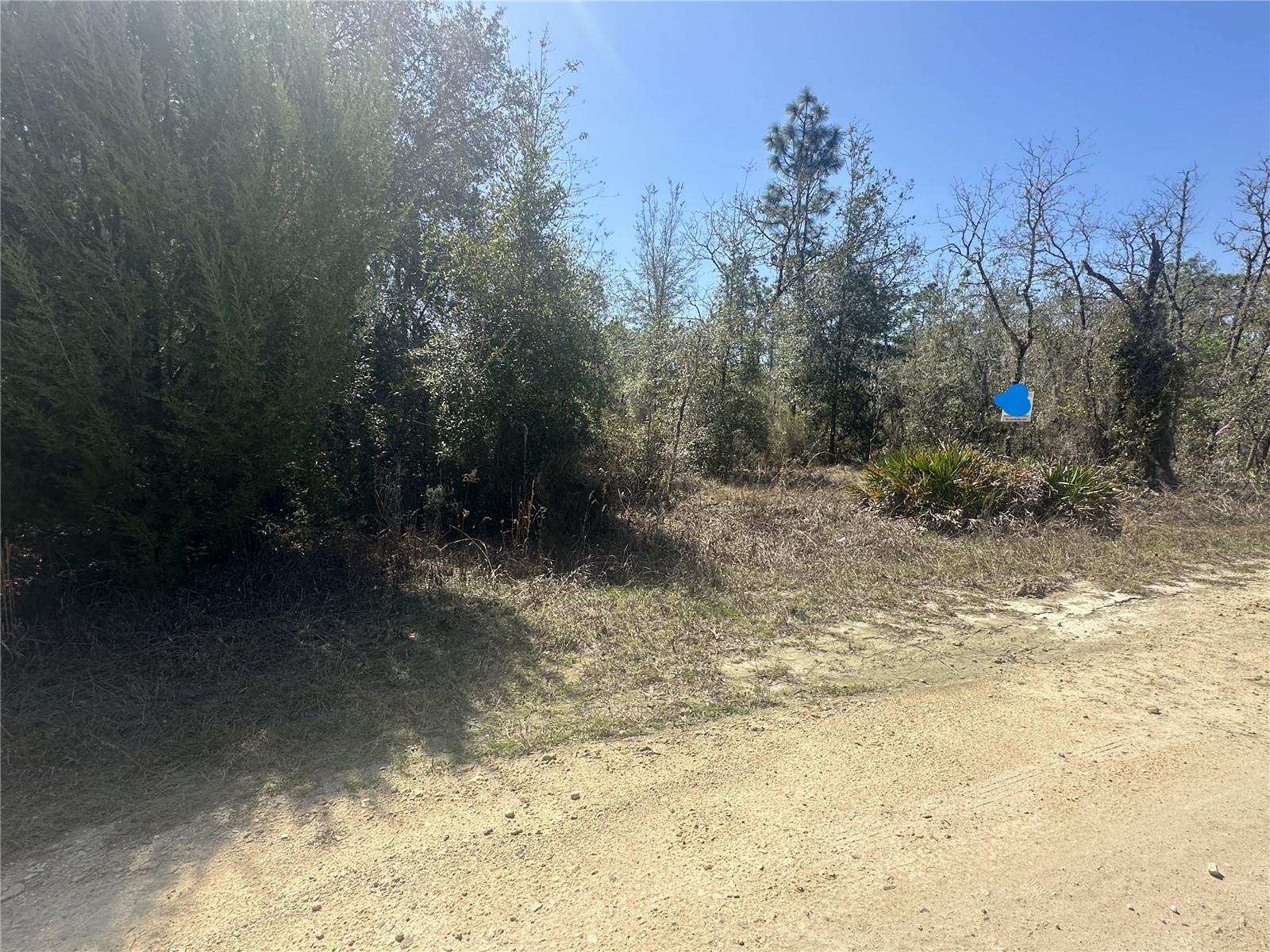 Image 10 of 10 For  66th Lane 