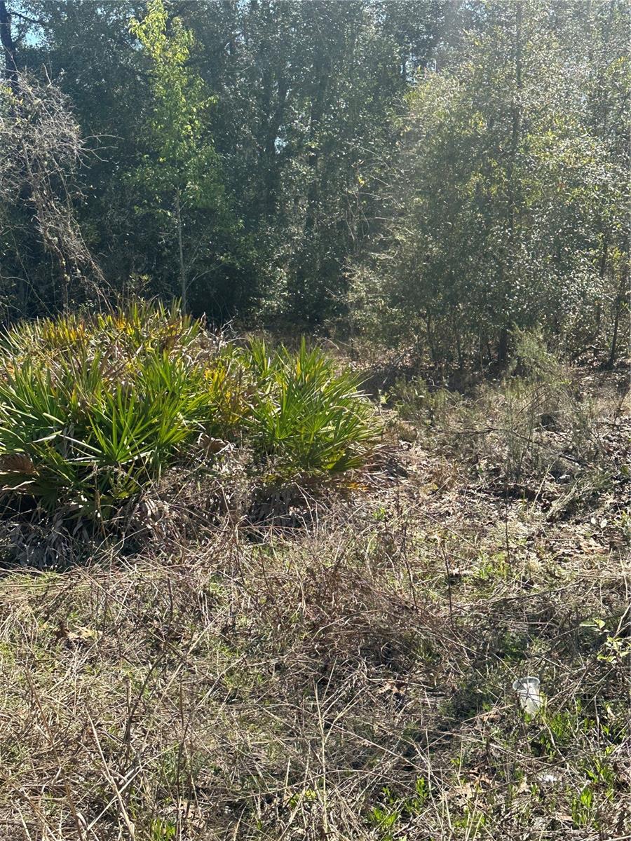 Image 6 of 10 For  66th Lane 