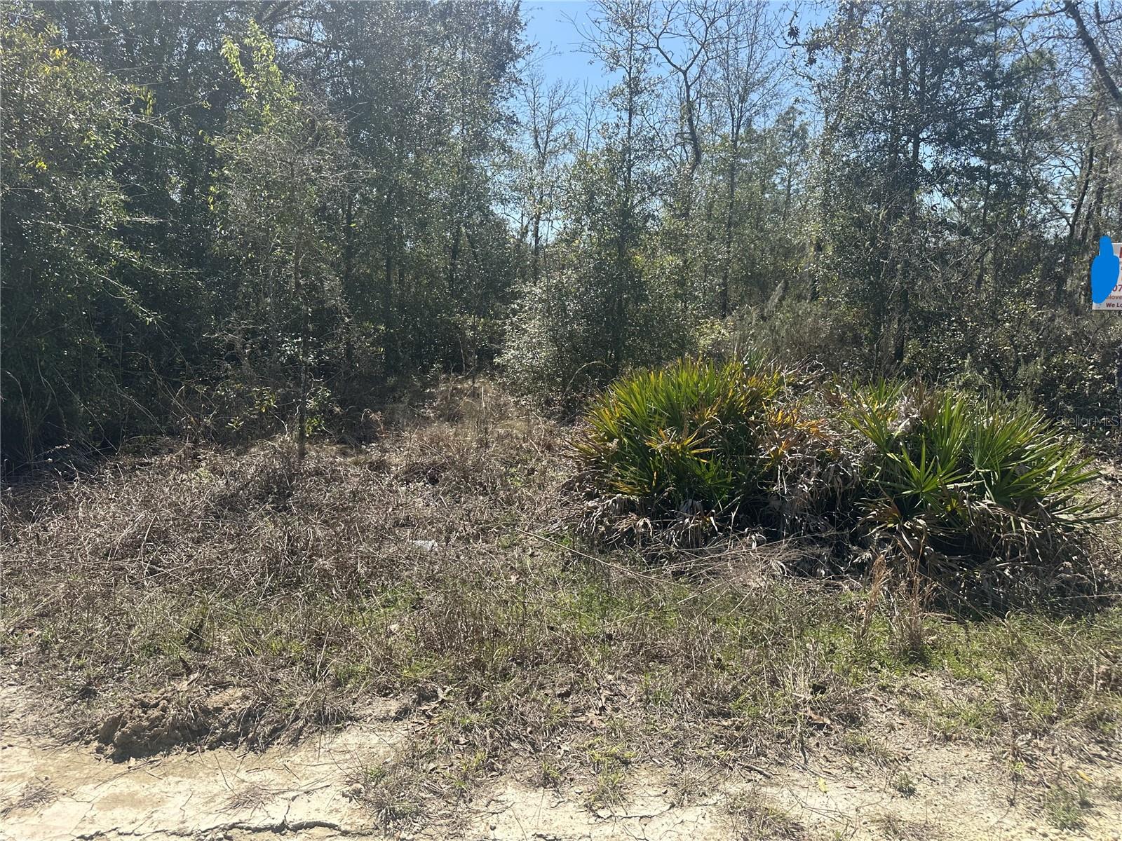 Image 9 of 10 For  66th Lane 