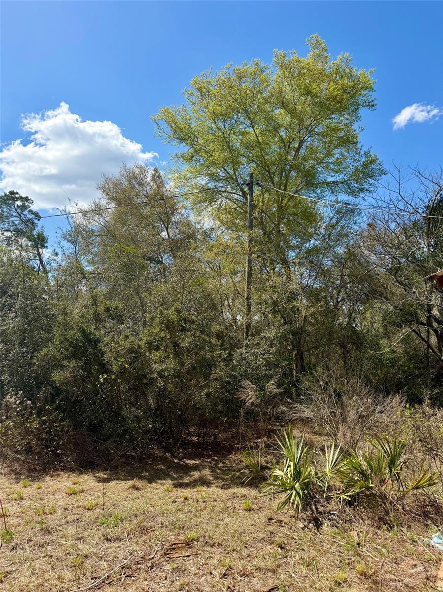 Image 4 of 10 For 15575 234th Place