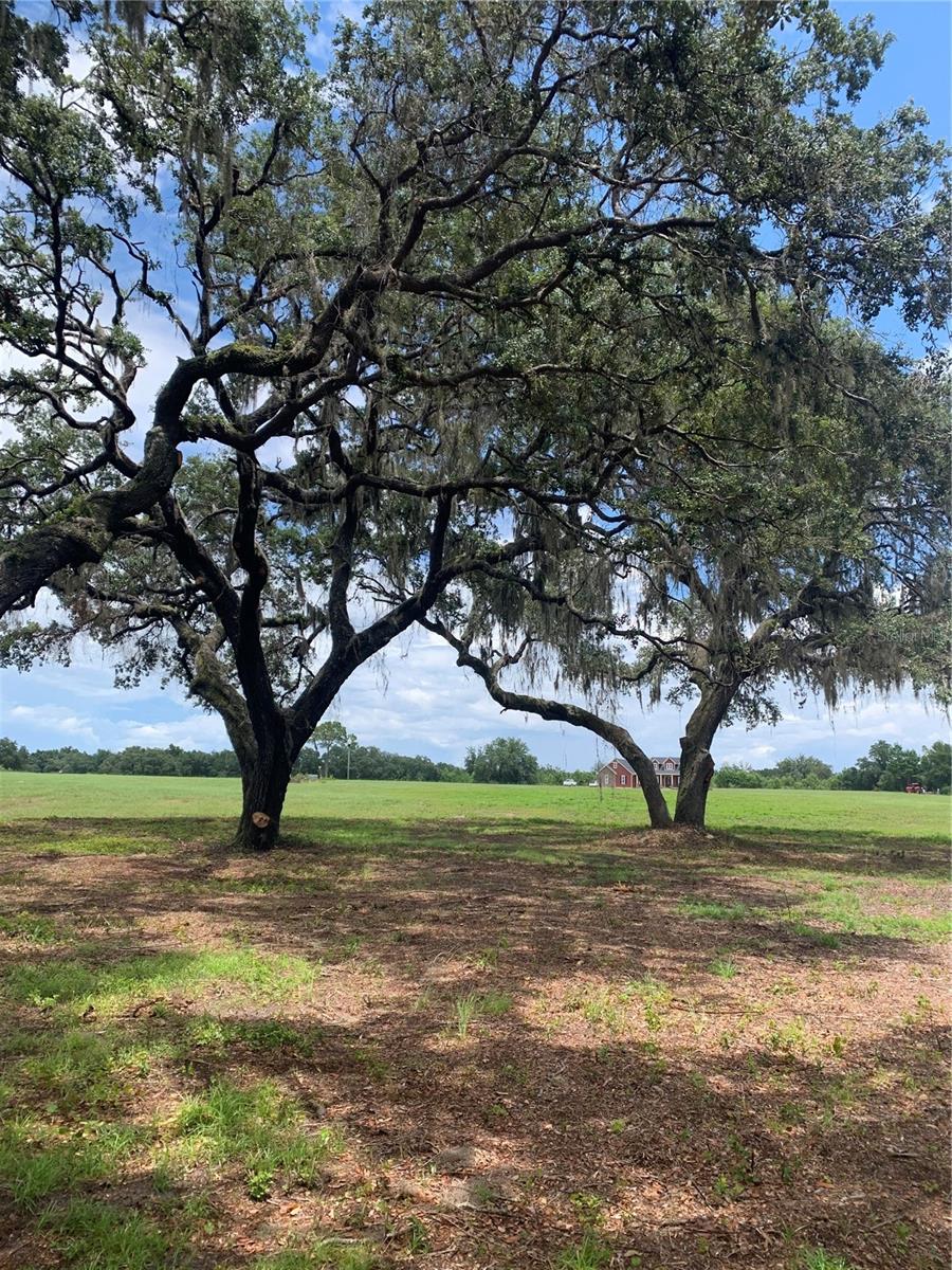 Image 4 of 9 For Tbd Ne 56th Court