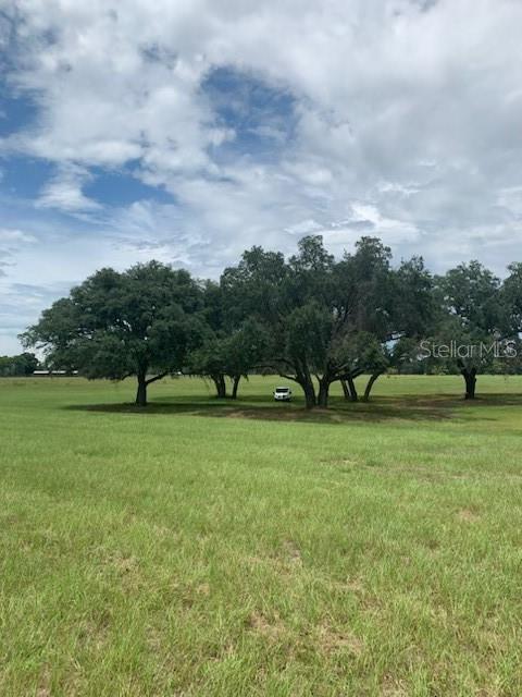 Image 5 of 9 For Tbd Ne 56th Court