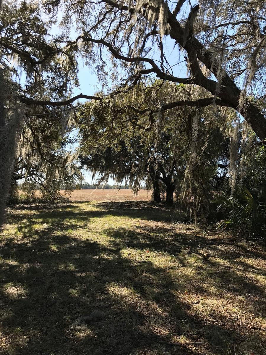 Image 6 of 9 For Tbd Ne 56th Court