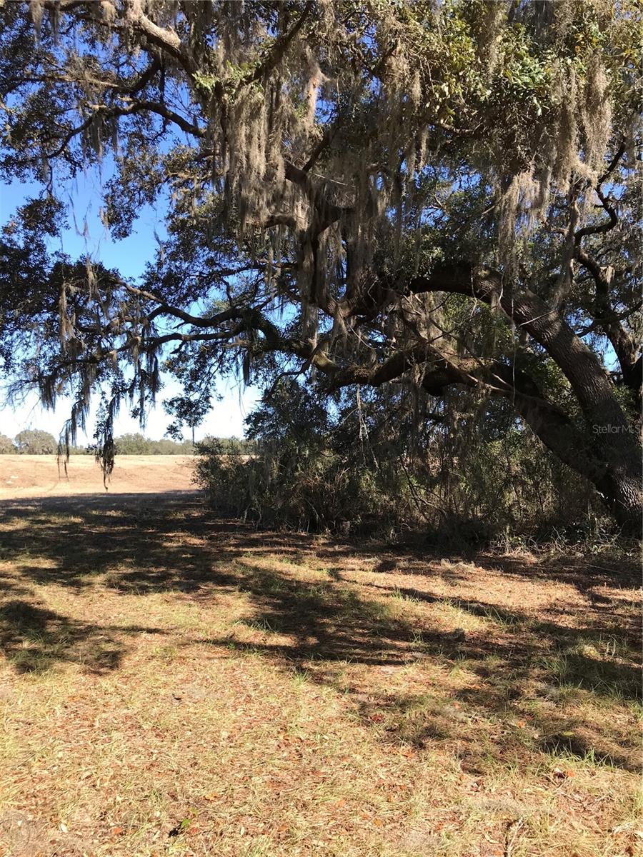 Image 7 of 9 For Tbd Ne 56th Court