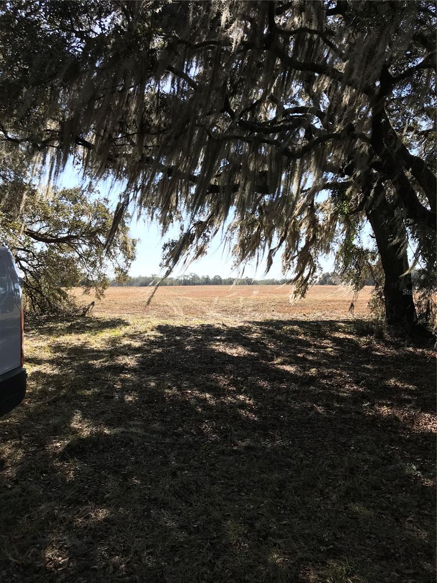 Image 8 of 9 For Tbd Ne 56th Court