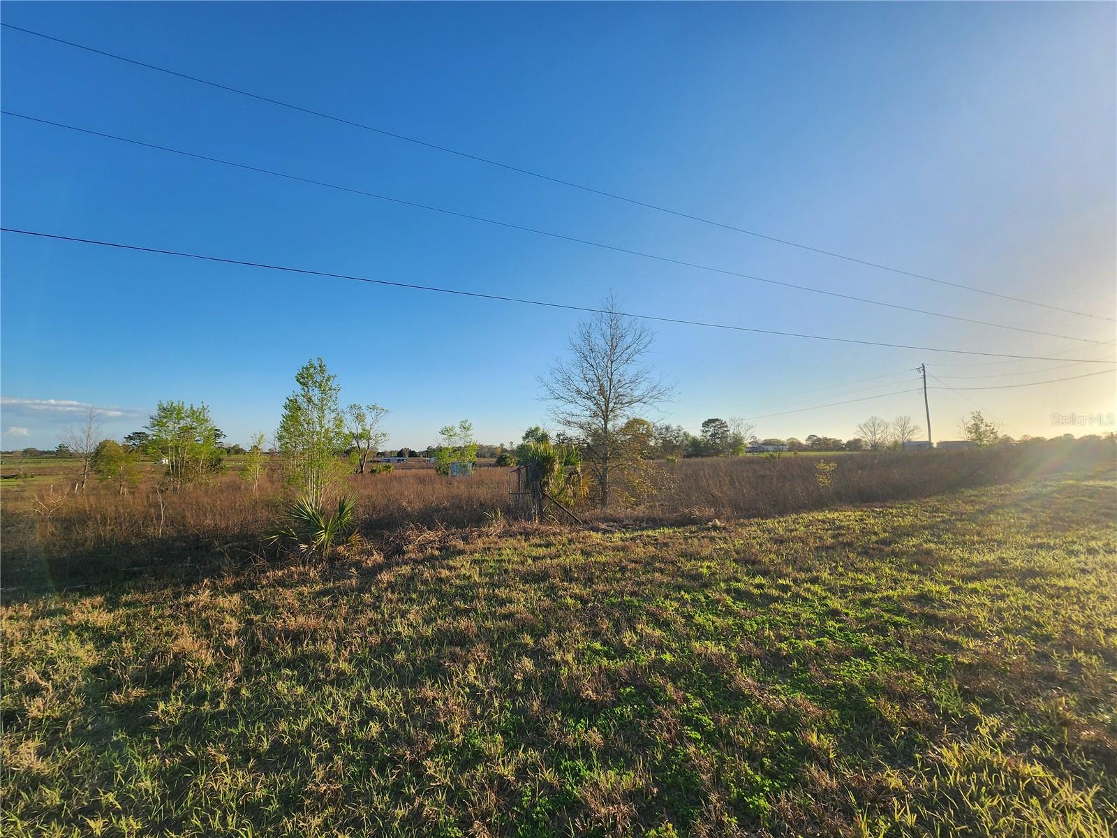 Image 3 of 11 For 11790 30th Street