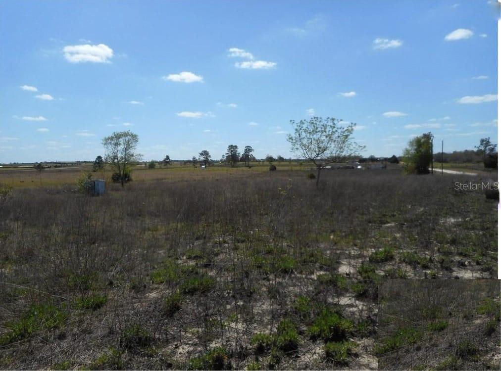 Image 4 of 11 For 11790 30th Street