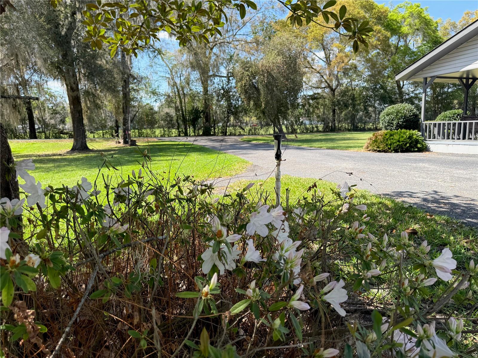 Image 6 of 61 For 4701 7th Avenue