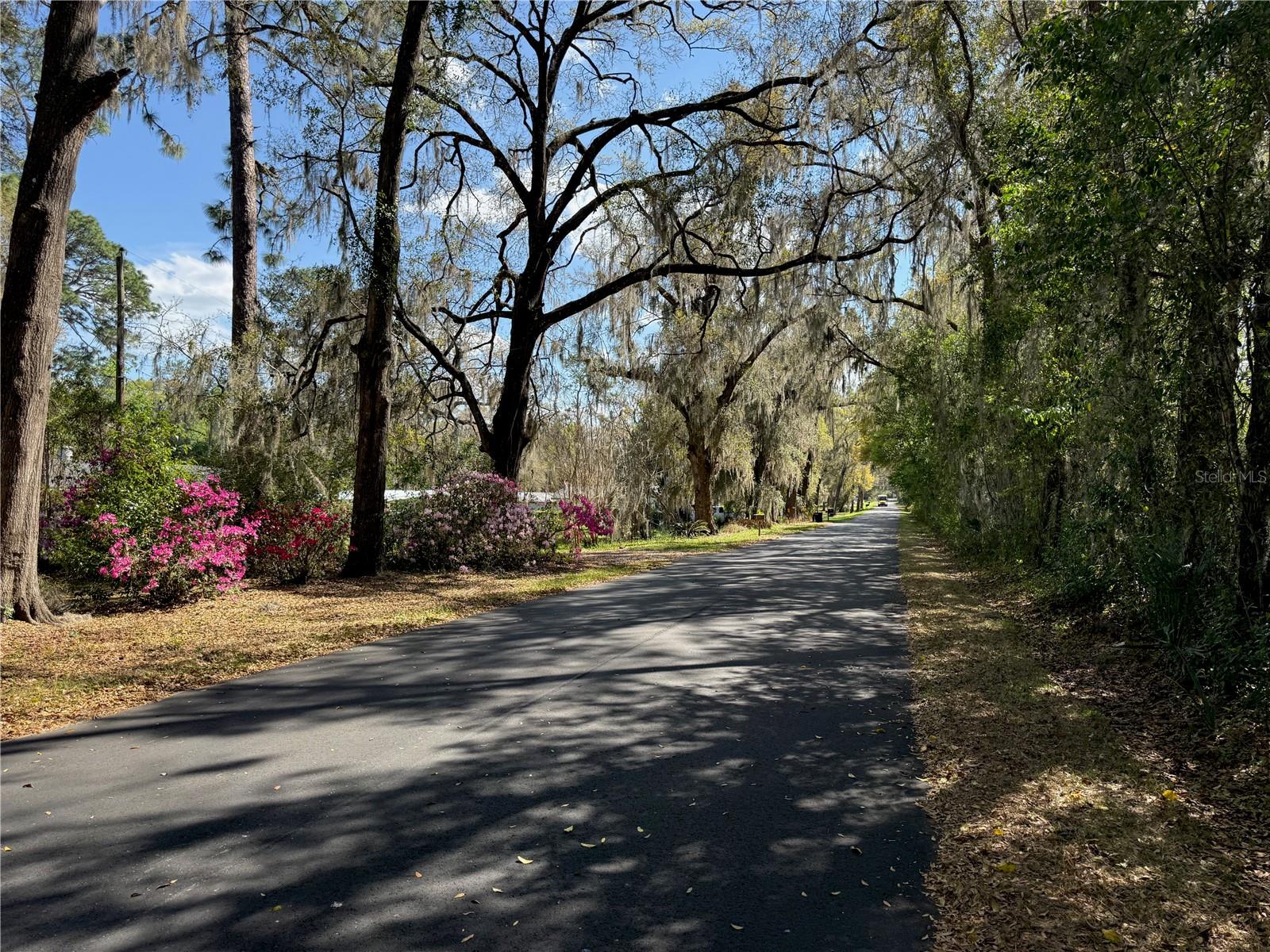 Image 7 of 61 For 4701 7th Avenue