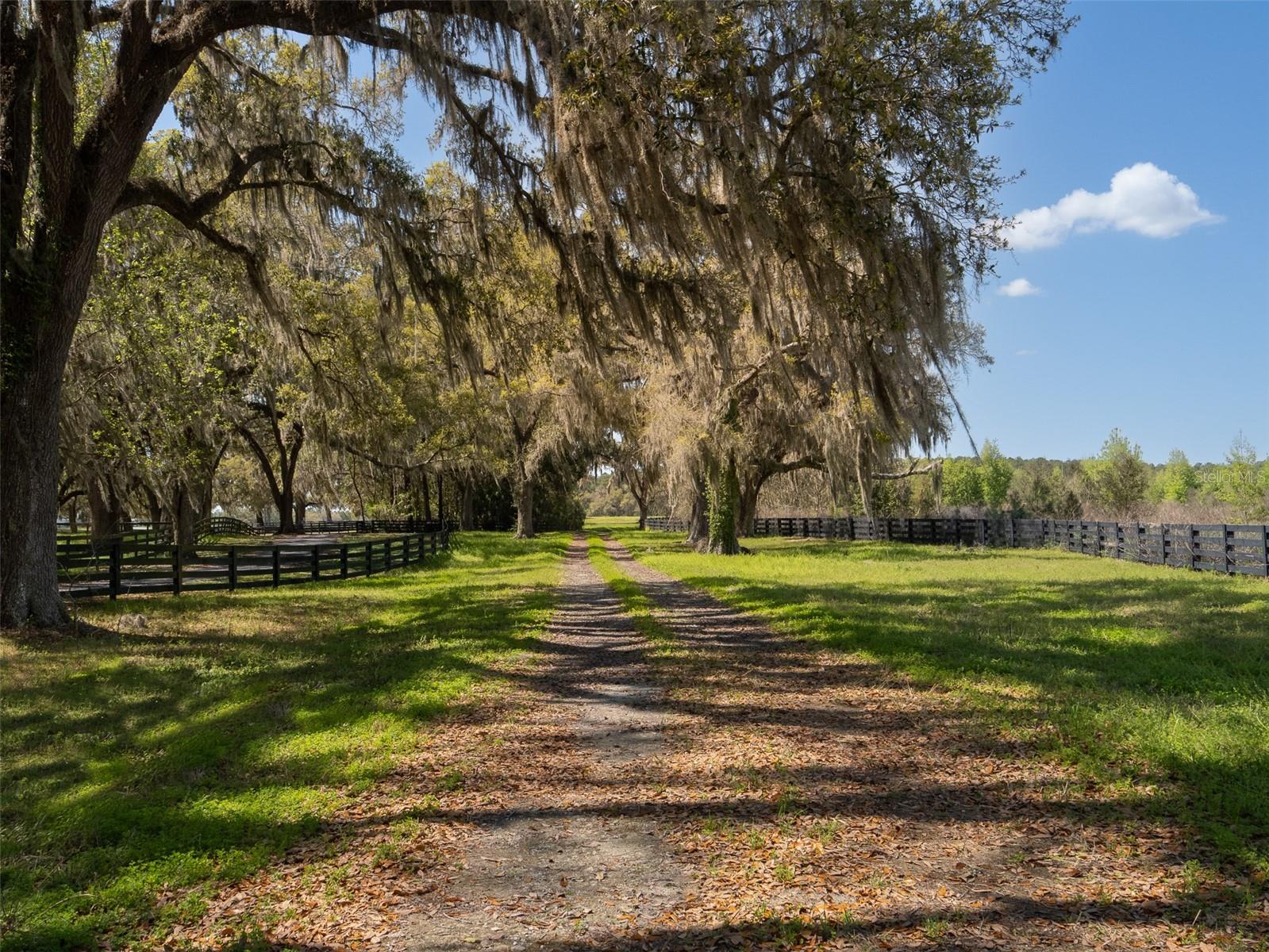 Image 3 of 12 For 1100 110th Avenue