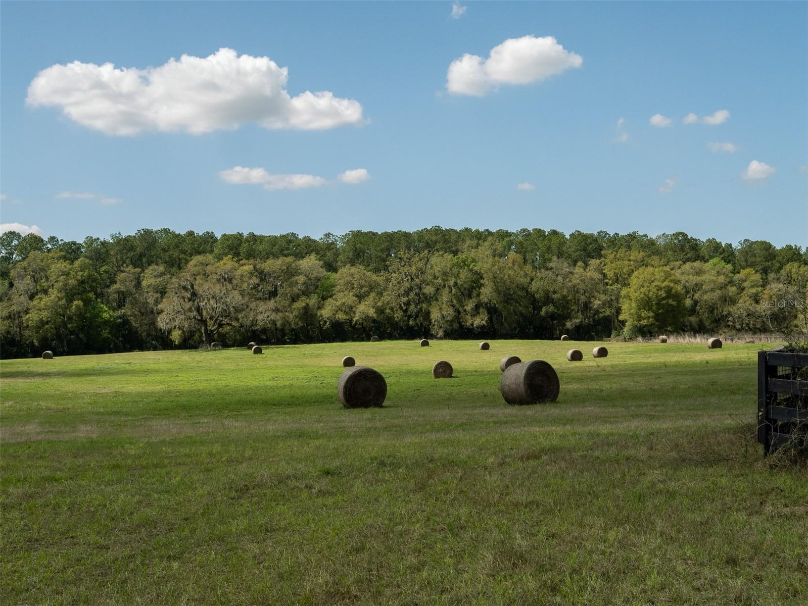 Image 5 of 12 For 1100 110th Avenue