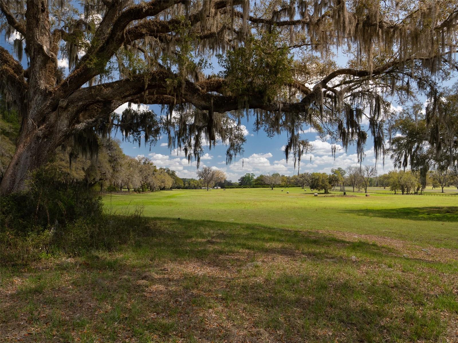 Image 9 of 12 For 1100 110th Avenue