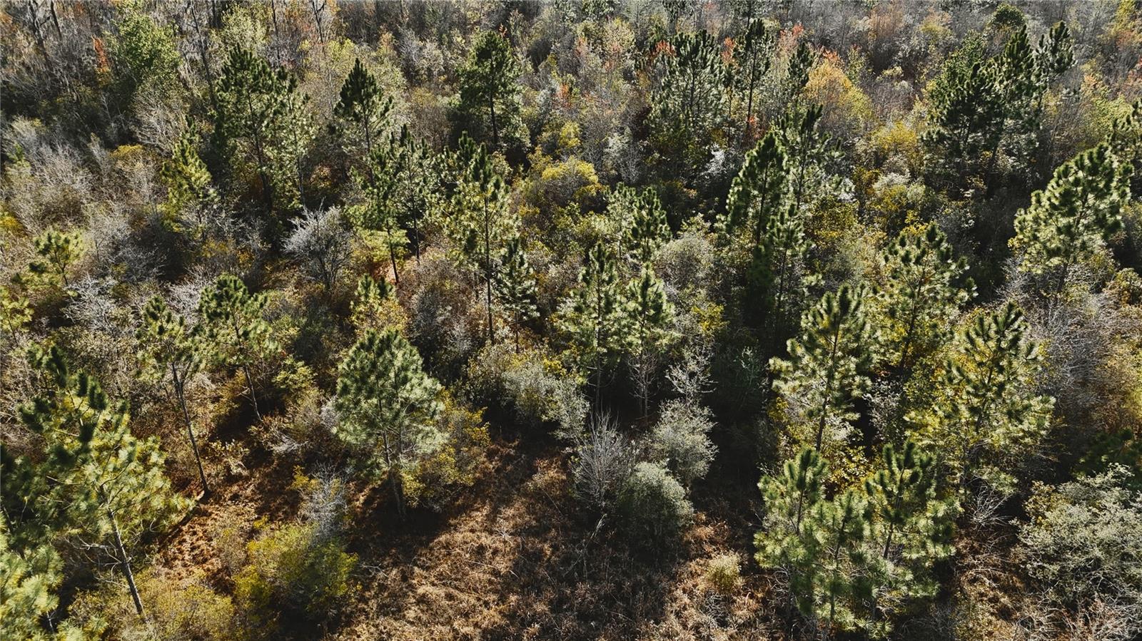 Image 10 of 36 For 00 W Market Road