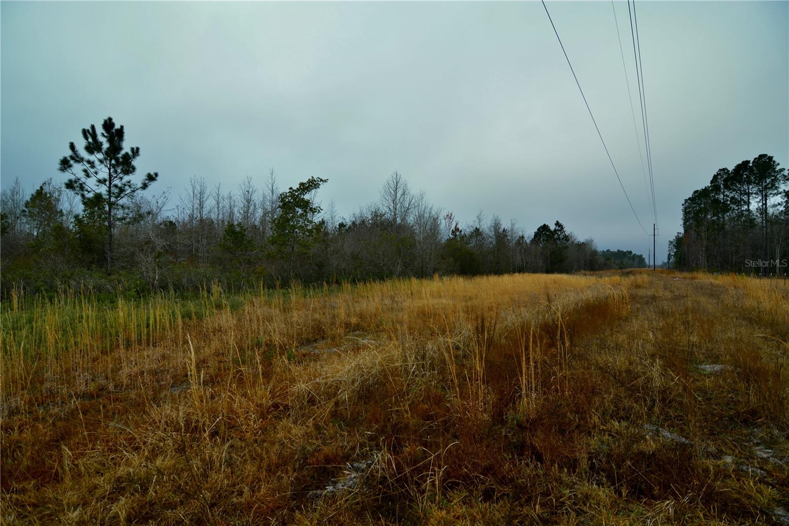 Image 11 of 36 For 00 W Market Road