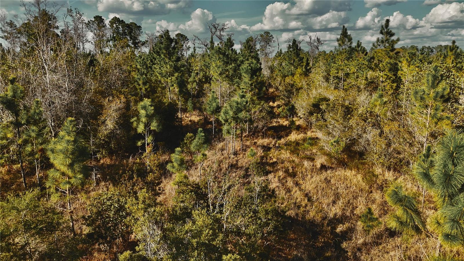 Image 17 of 36 For 00 W Market Road