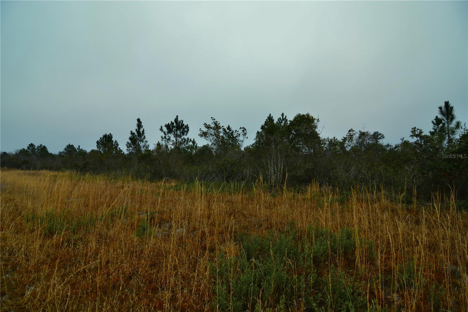 Image 19 of 36 For 00 W Market Road