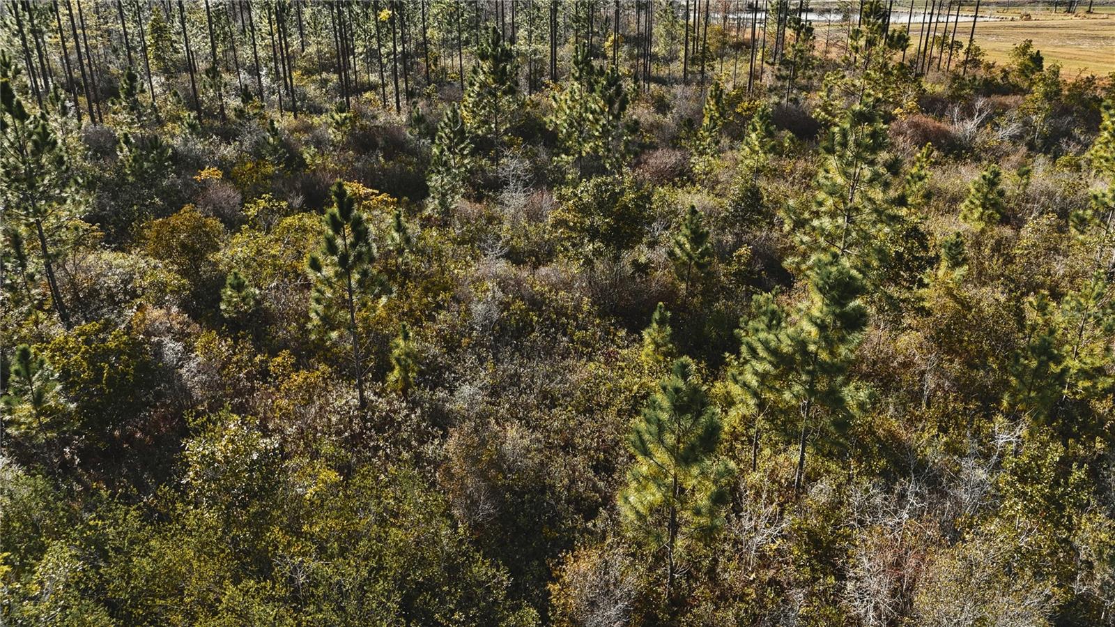 Image 20 of 36 For 00 W Market Road